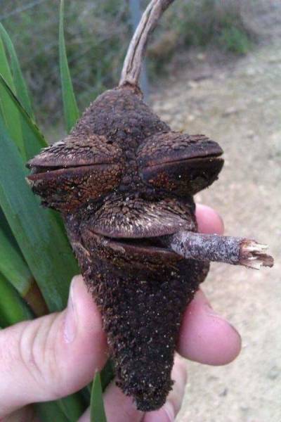 Daily Picdump