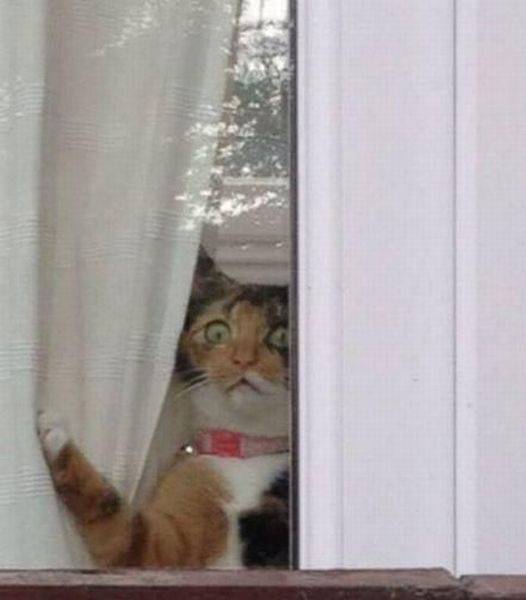 Daily Picdump