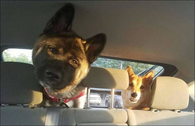 Daily Picdump
