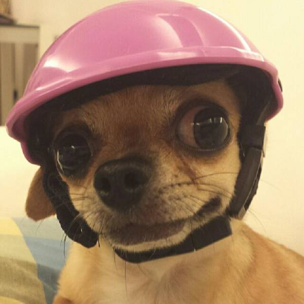 Content Image