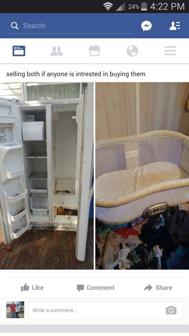 Daily Picdump