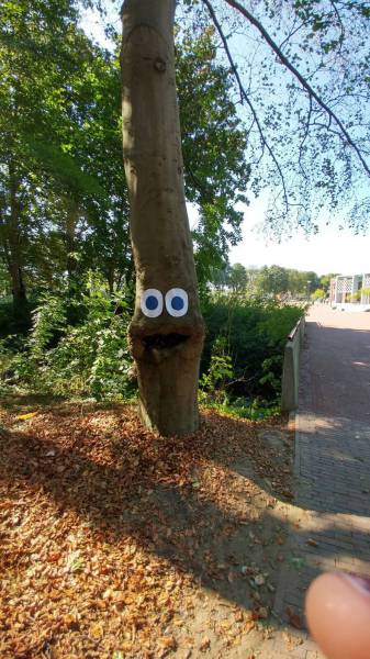 Funny Picdump