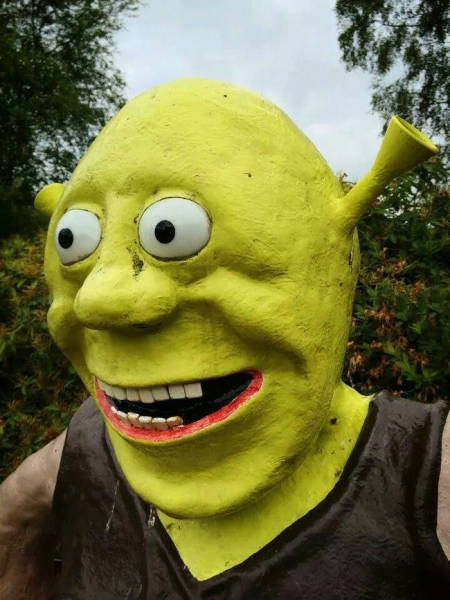 Content Image