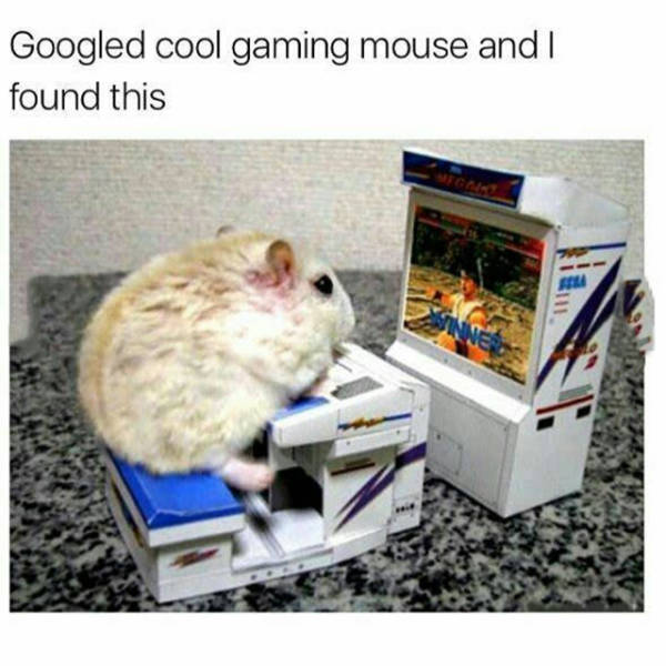 Content Image