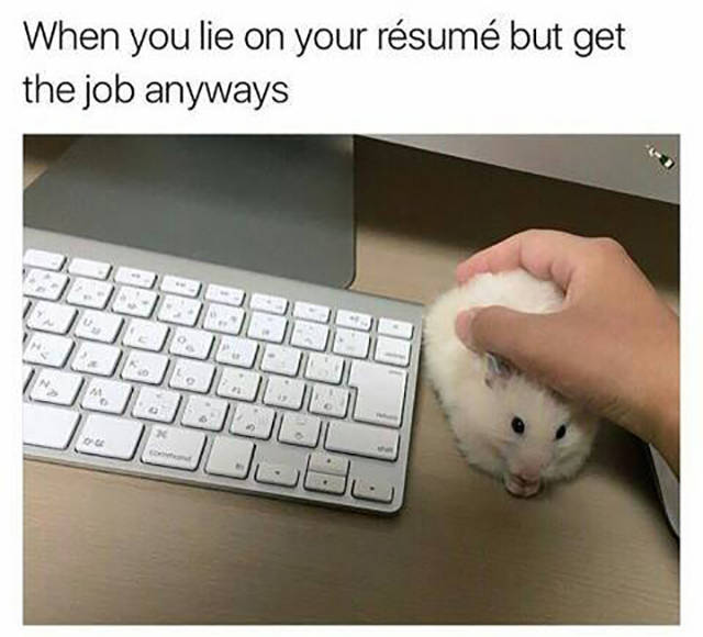 Content Image