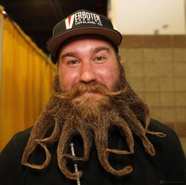 Morning Picdump