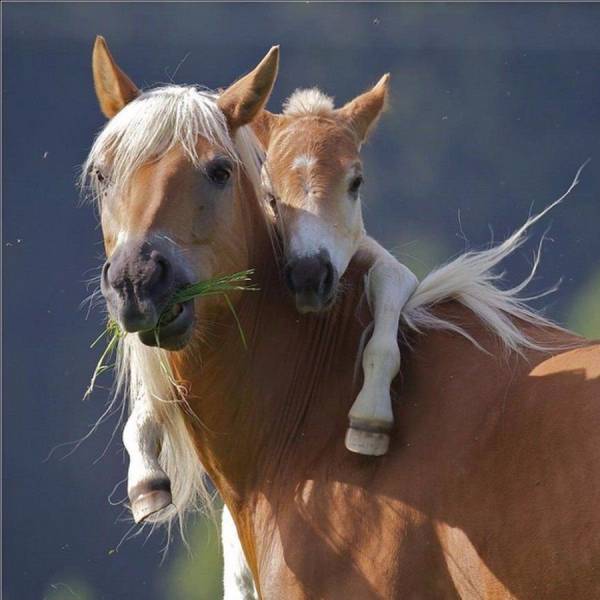 Morning Picdump