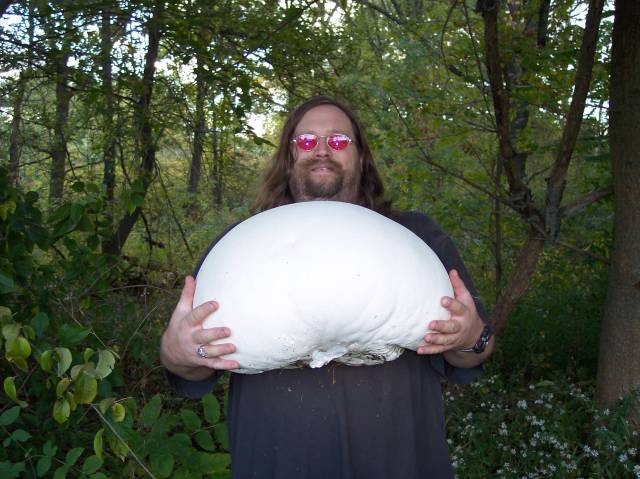 Content Image