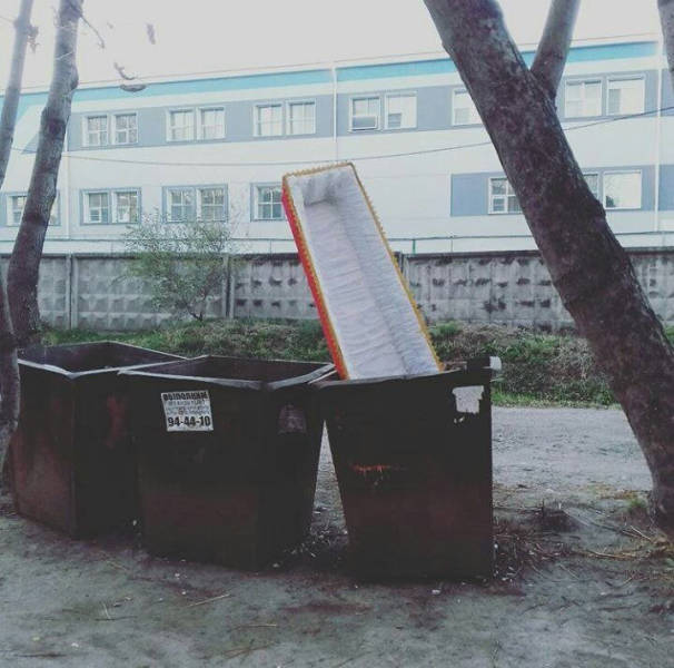Daily Picdump