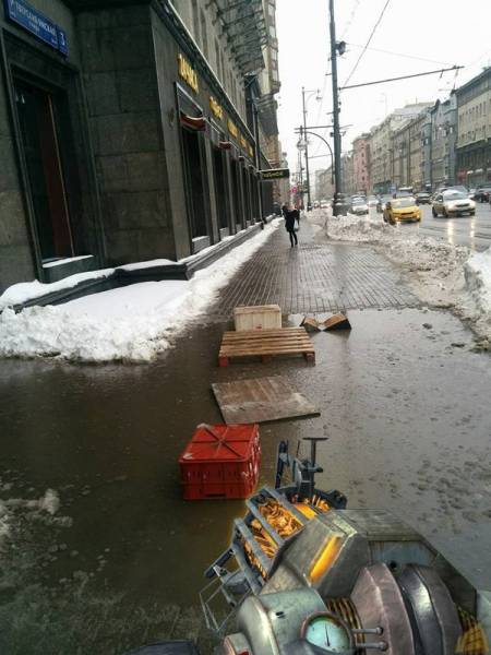 Daily Picdump