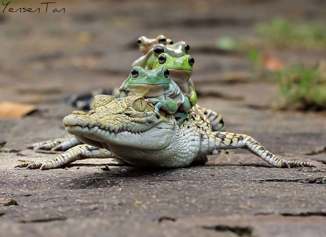 Daily Picdump