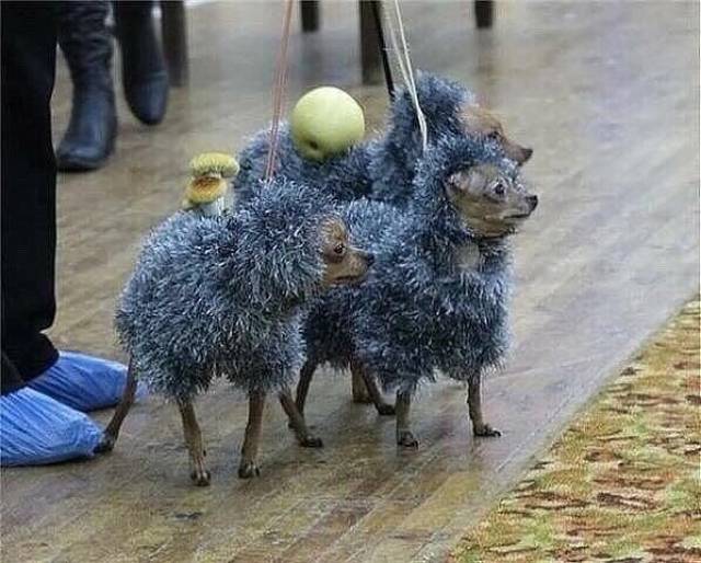 Daily Picdump
