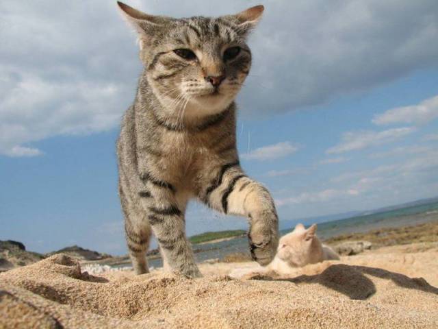 Daily Picdump