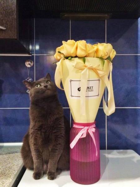 Morning Picdump