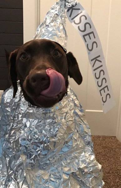 Morning Picdump