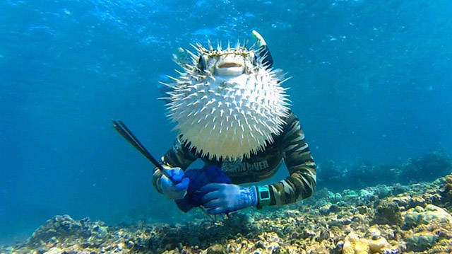Daily Picdump
