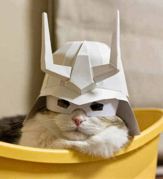 Daily Picdump