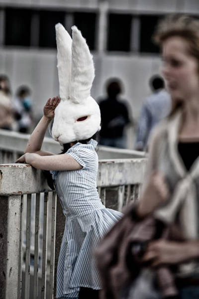 Daily Picdump