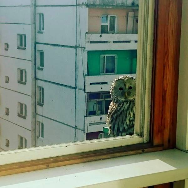 Daily Picdump