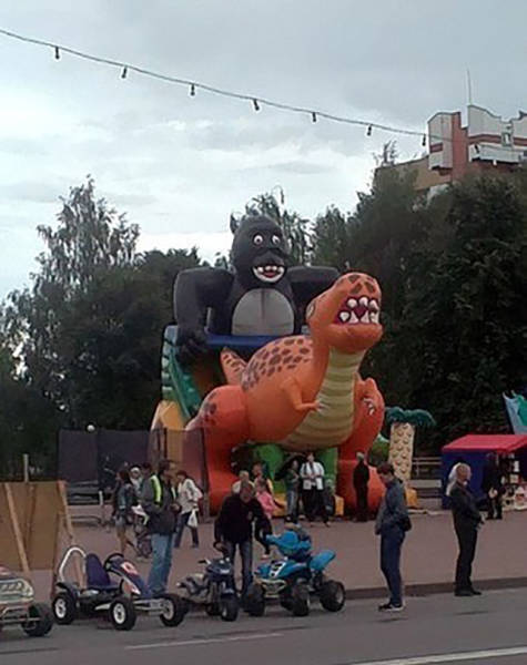 Daily Picdump