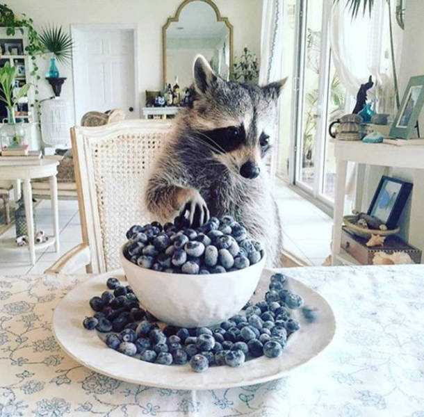 Daily Picdump