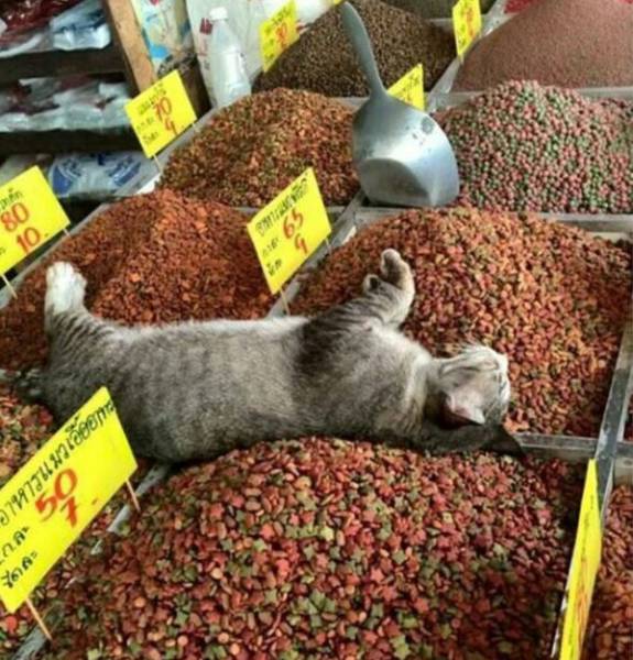 Daily Picdump
