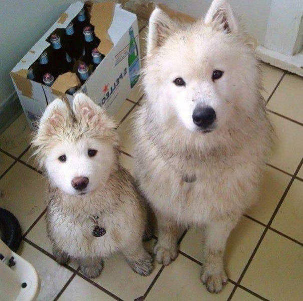 Daily Picdump