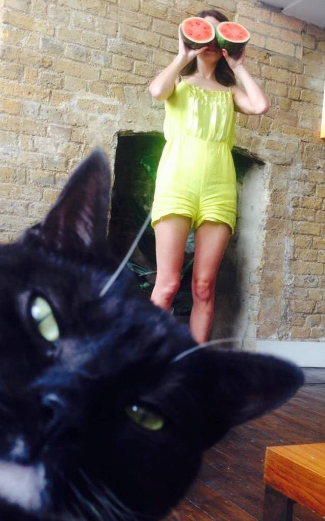 Daily Picdump