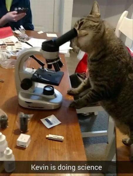 Morning Picdump