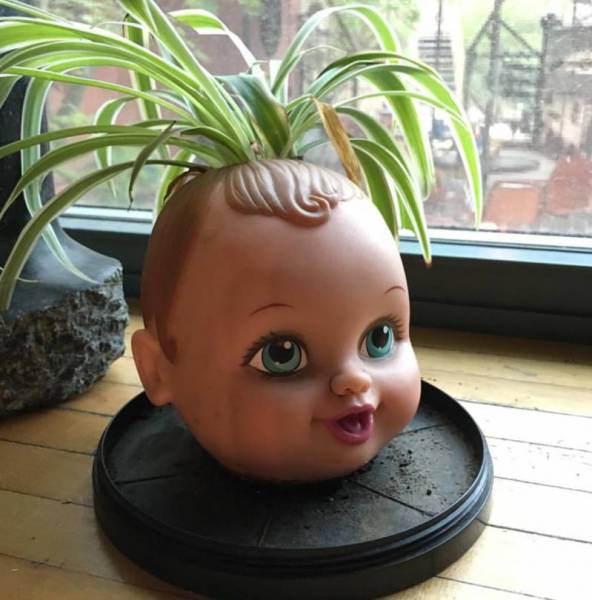 Content Image