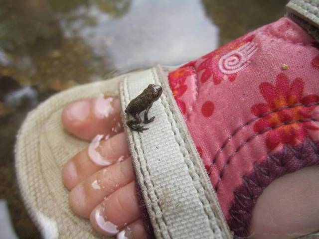 Daily Picdump
