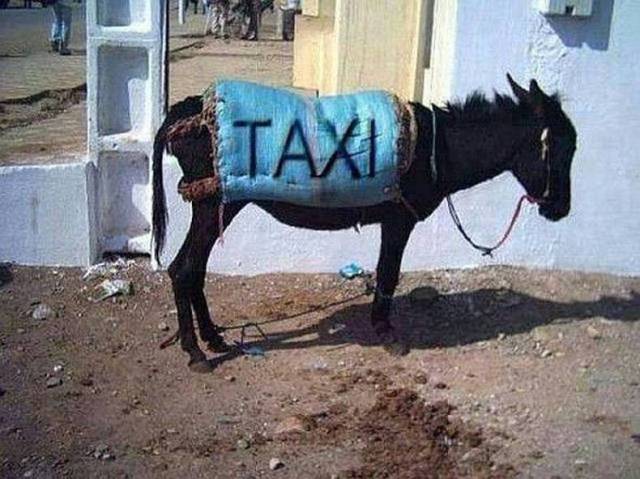 Daily Picdump