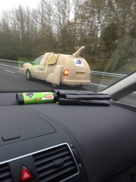Daily Picdump