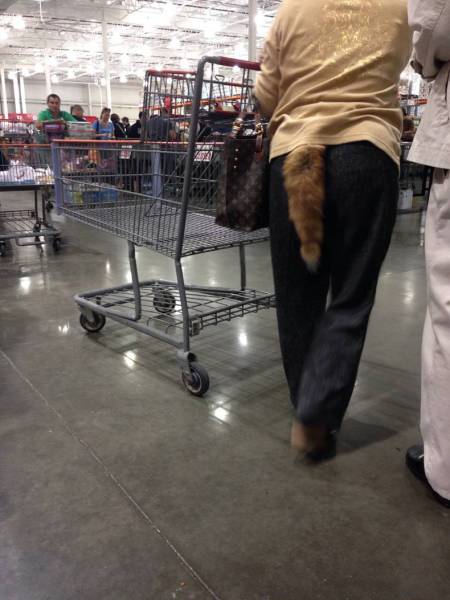 Daily Picdump