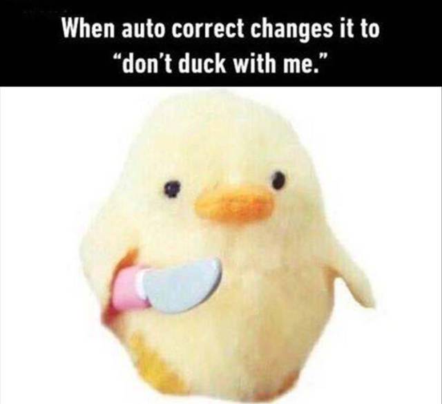 Content Image