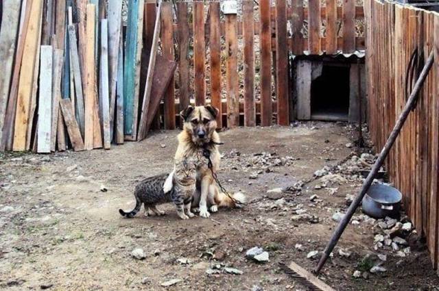 Daily Picdump