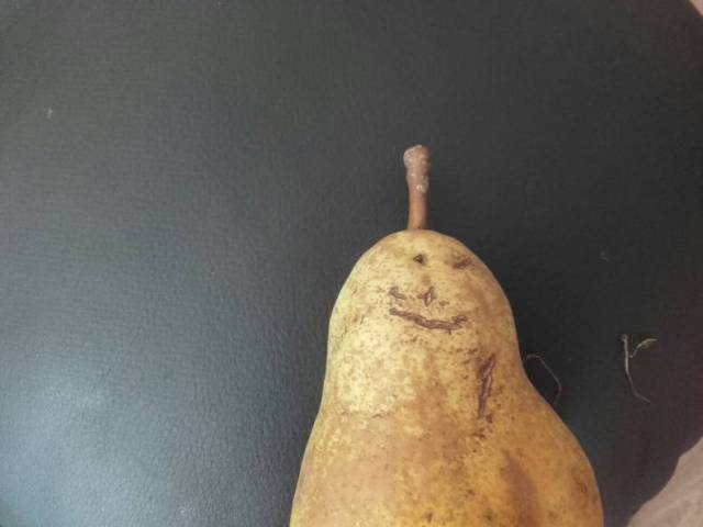 Content Image