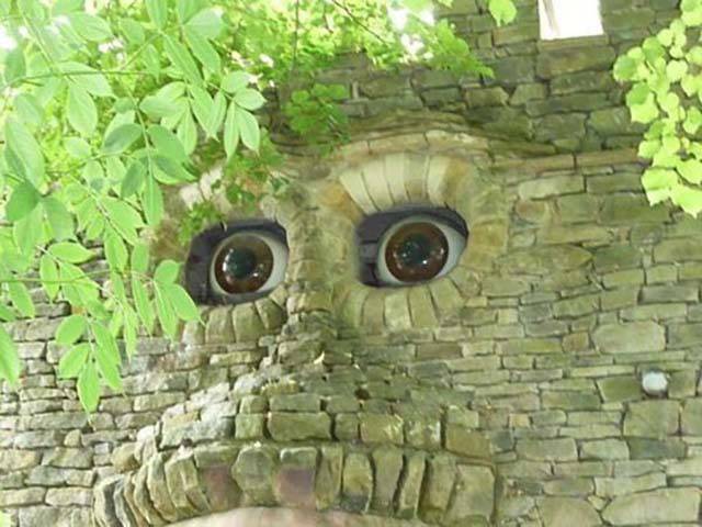 Content Image