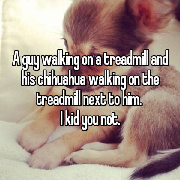 Really Strange Things People Saw At The Gym