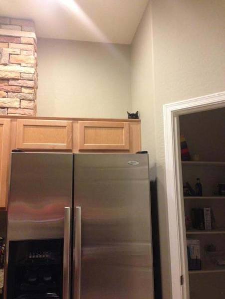 Daily Picdump