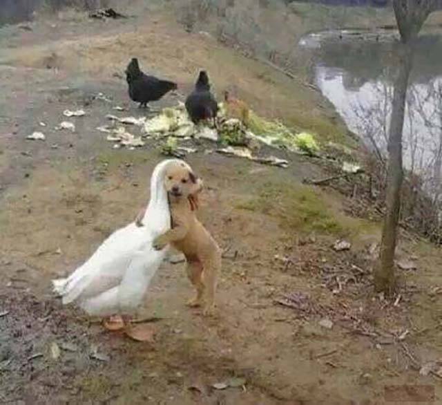 Morning Picdump