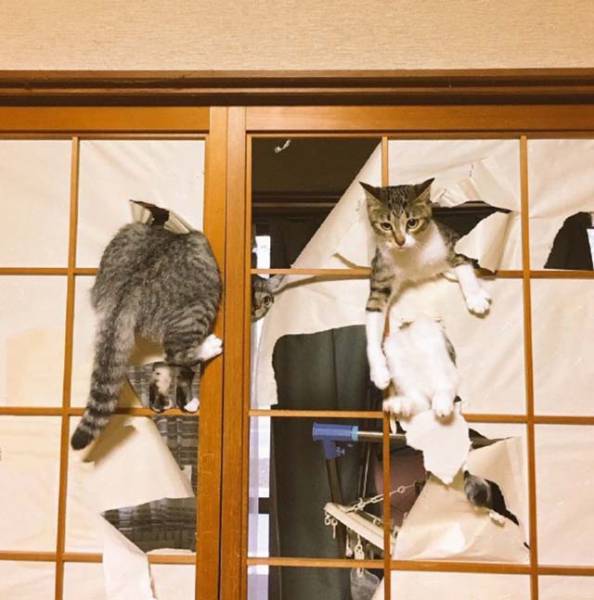Morning Picdump