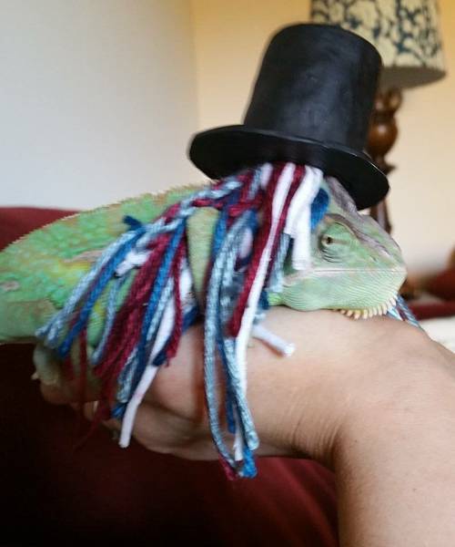 Content Image