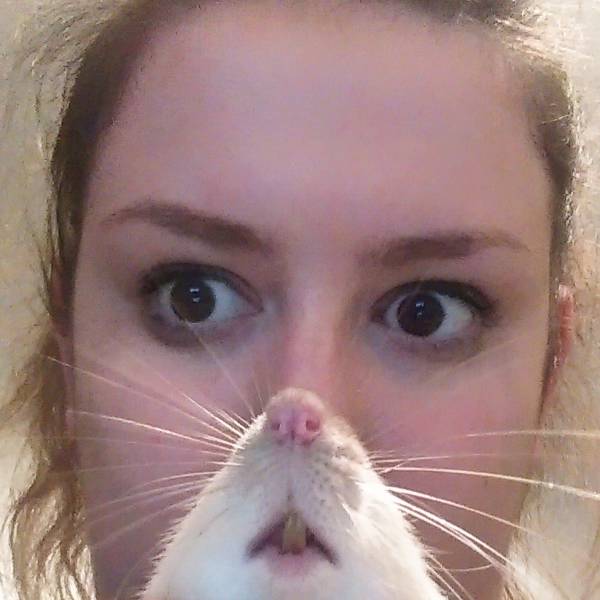 Content Image