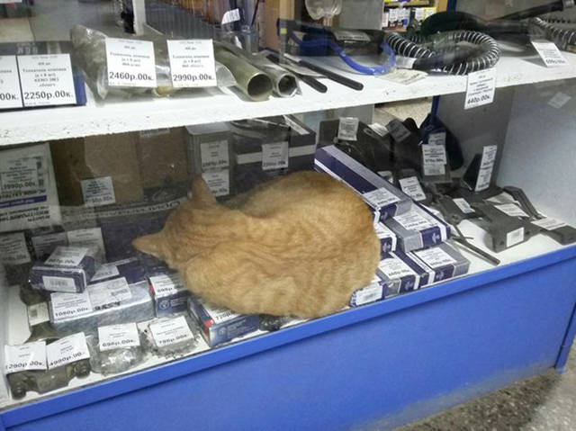 Daily Picdump