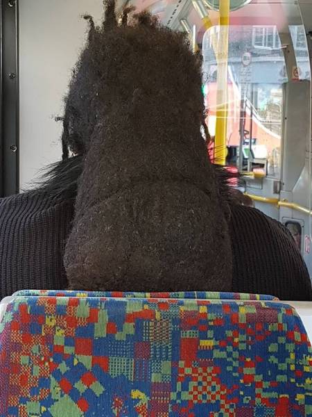 Daily Picdump