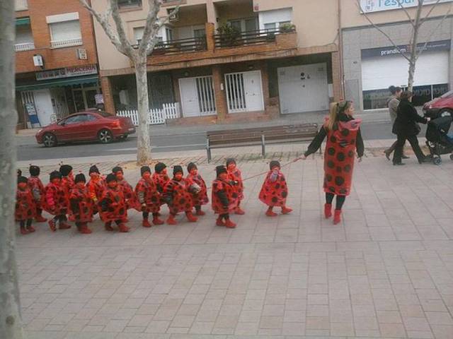 Content Image