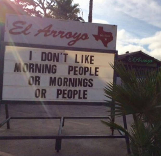 Morning Picdump