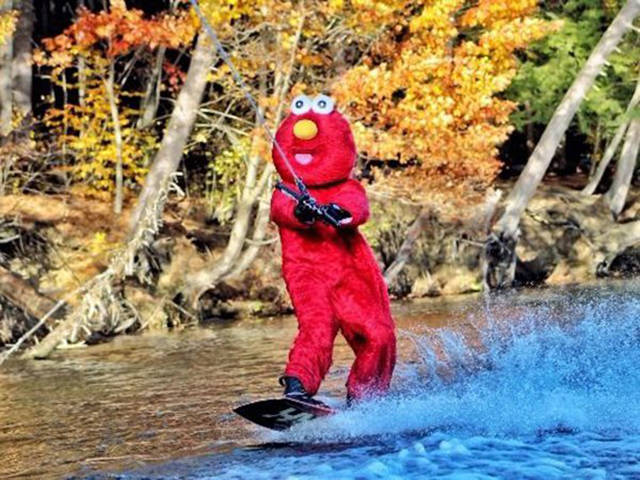 Morning Picdump
