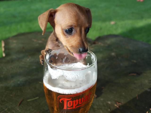 Daily Picdump